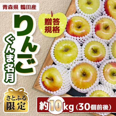 ふるさと納税 鶴田町 [さとふる限定]青森県 鶴田産 りんご ぐんま名月 贈答規格 約10kg(30個前後)