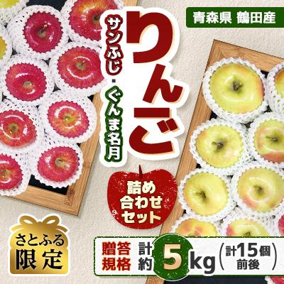 ふるさと納税 鶴田町 [さとふる限定]青森県産 りんご サンふじ・ぐんま名月 詰め合わせセット 贈答約5kg(15個前後)