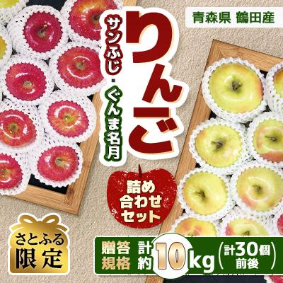 ふるさと納税 鶴田町 [さとふる限定]青森県産 りんご サンふじ・ぐんま名月詰め合わせセット 贈答約10kg(30個前後)