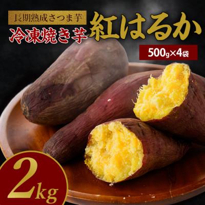 ふるさと納税 指宿市 鹿児島県産 さつま芋 紅はるかの冷凍焼き芋 2kg(500g×4袋)(IB016-009)