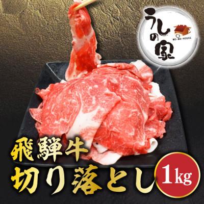 ふるさと納税 岐南町 うしの家の飛騨牛切り落とし 1kg(250g×4パック)