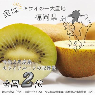 ふるさと納税 岡垣町 【2026年11月上旬〜11月下旬発送予定】博多甘うぃ(キウイフルーツ) 約3.6kg(岡垣町)_1