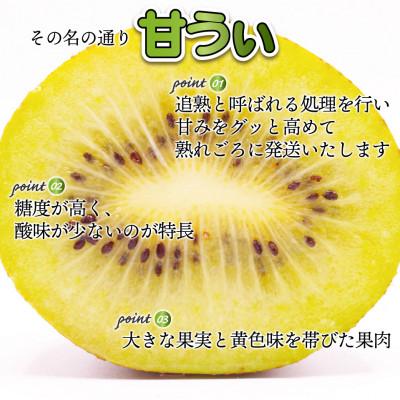 ふるさと納税 岡垣町 【2026年11月上旬〜11月下旬発送予定】博多甘うぃ(キウイフルーツ) 約3.6kg(岡垣町)_2
