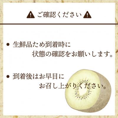 ふるさと納税 岡垣町 【2026年11月上旬〜11月下旬発送予定】博多甘うぃ(キウイフルーツ) 約3.6kg(岡垣町)_3