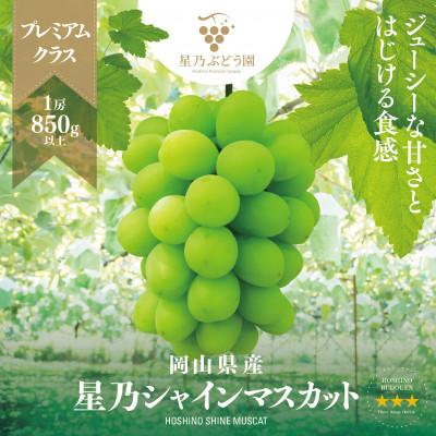 ふるさと納税 津山市 [三つ星ブランド]星乃シャインマスカット プレミアムクラス(岡山県産) 1房×850g以上