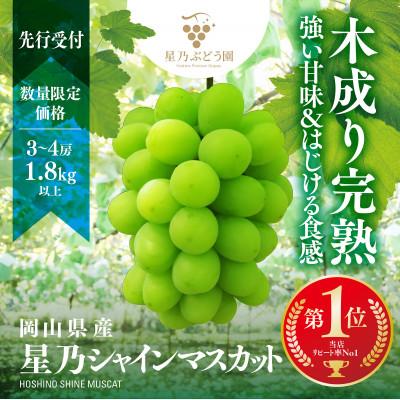 でんスケ　シャインマスカット　10キロ 楽天市場】”シャインマスカット” 秀品 5〜10房 約4kg 産地厳選【予約 8