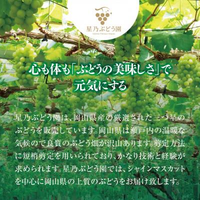 ふるさと納税 岡山市 星乃シャインマスカット プレミアム(岡山県