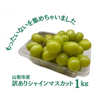 ふるさと納税 山梨市 [2026年先行受付]訳あり 粒 シャインマスカット 約1kg