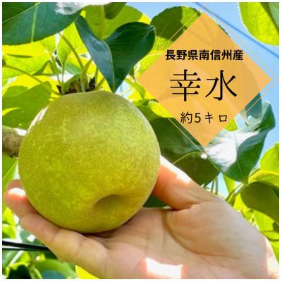 ふるさと納税 飯田市 [8月中旬より発送予定]南信州産「幸水梨」約5kg[12〜16玉]糖度11.0以上