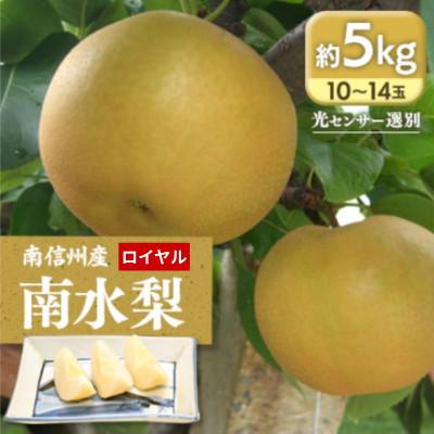 ふるさと納税 飯田市 [9月上旬から発送予定]南信州生まれのジューシーで甘い梨[南水梨]ロイヤル 約5kg 10〜14玉