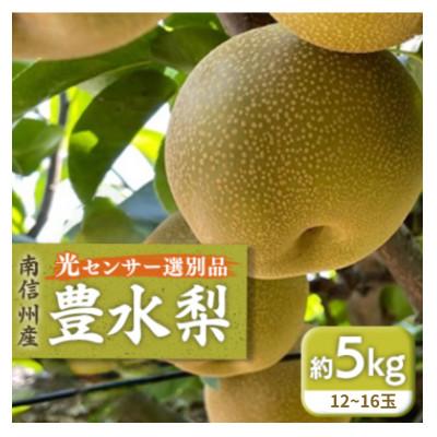 ふるさと納税 飯田市 [9月上旬から発送予定]南信州産「豊水梨」約5kg [12〜16玉] 糖度11.0以上