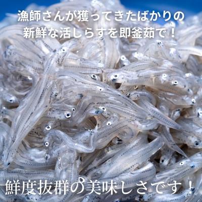 ふるさと納税 南知多町 篠島の高級釜揚げしらす干し700g(70g×10袋小分けパック)CAS冷凍・無添加　海鮮丼、離乳食に_1