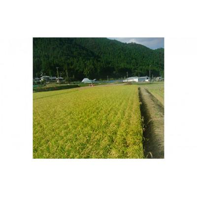 ふるさと納税 那賀町 那賀町相生産ヒノヒカリ玄米5kg