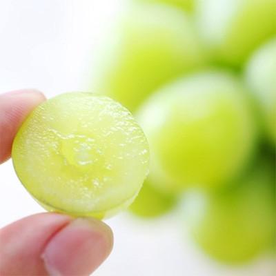 ふるさと納税 高森町 【氷温貯蔵】長野県産・シャインマスカット(約2kg)秀品の画像