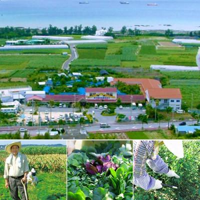 ふるさと納税 南城市 沖縄から美容と健康が気になる方へ susteen NMN(サスティーンエヌエムエヌ)9000mg 