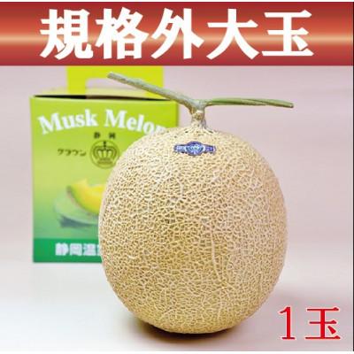ふるさと納税 森町 [規格外BIGサイズ!]クラウンメロン規格外大玉 1玉[森町SF]