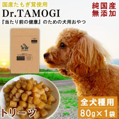 ふるさと納税 あさぎり町 犬用おやつ 「Dr.TAMOGI(トリーツ) 80g×1袋」純国産