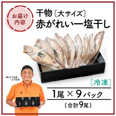 ふるさと納税 越前町 越前干物　赤がれい一塩干し　大サイズ(1尾×9パック入り)｜y-sf｜04