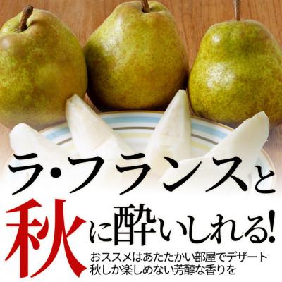 ふるさと納税 山形県 【訳あり】 洋梨 ラ・フランス 5kg ご家庭用 山形県産 【令和8年産 先行予約】_1