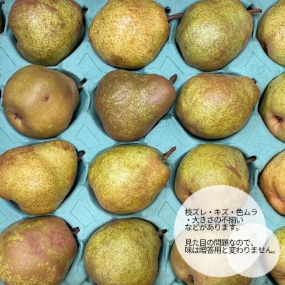 ふるさと納税 山形県 【訳あり】 洋梨 ラ・フランス 5kg ご家庭用 山形県産 【令和8年産 先行予約】_2