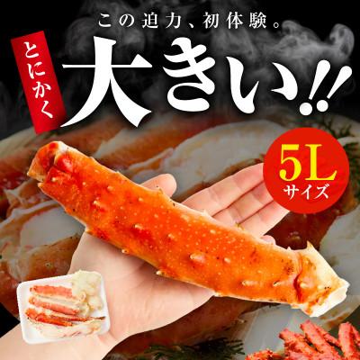 ふるさと納税 泉佐野市 大型ボイルタラバガニ 1kg 5Lサイズ カット済み