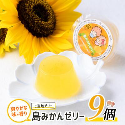 ふるさと納税 長島町 先人からの贈り物 島みかんゼリー(9個入)ー_waki-7332