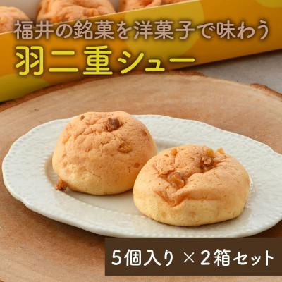 ふるさと納税 坂井市 福井の銘菓を洋菓子で味わう 「羽二重シュー」 5個入り × 2箱セット [A-0848]