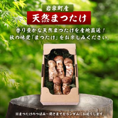ふるさと納税 岩泉町 【2026秋発送】岩泉まつたけ 直送 500g_1