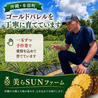 ふるさと納税 本部町 【2026年7月から順次発送】本部町産 糖度15度以上