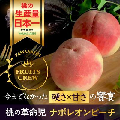 ふるさと納税 山梨市 [8月上旬より順次発送]硬さ×甘さの饗宴 希少なナポレオンピーチ今回逃すと1年待ち