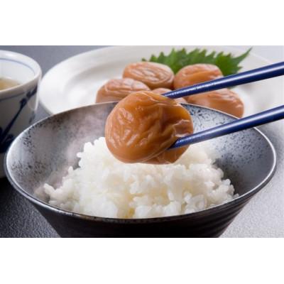 ふるさと納税 和歌山県 紀州　うす塩味梅　紀和の梅　1kg×3　M362_3