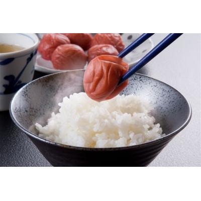 ふるさと納税 和歌山県 紀州　しそ漬梅　紀和の梅　1kg×3　M360_3
