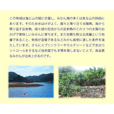 ふるさと納税 湯浅町 「高級 田村みかん」 青秀 約10kg Sサイズ 和歌山県有田産【先行受付】 湯浅町