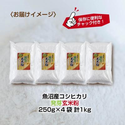 ふるさと納税 南魚沼市 魚沼産 コシヒカリ 発芽玄米粉 250g×4袋 計1kg 小麦不使用 新潟県 南魚沼市｜y-sf｜04