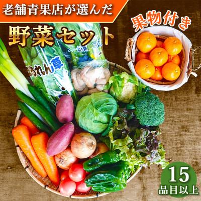 ふるさと納税 時津町 野菜のプロ40年が届ける厳選野菜セット 果物付き 15品目以上 詰め合わせ