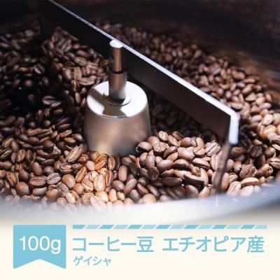 ふるさと納税 村山市 ラビットビレッジコーヒーのコーヒー エチオピア ゲイシャ 100g コーヒー豆