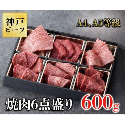ふるさと納税 三木市 神戸牛 焼肉6種盛り 600g(専用仕切り箱)
