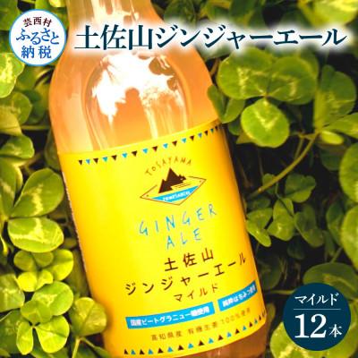 ふるさと納税 芸西村 土佐山ジンジャエールマイルド12本セット