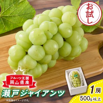 ふるさと納税 真庭市 [2026度先行受付] 朝採り新鮮!人気ぶどう瀬戸ジャイアンツ1房