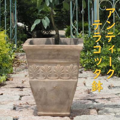 【限定品】 ふるさと納税 朝倉市 レモンの木鉢植え(品種:ビアフランカ/トゲ無し)(アンティークテラコッタ鉢直径31cm) 【CE7133500605】(26000円)