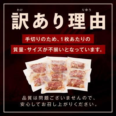 ふるさと納税 泉佐野市 牛ハラミステーキ 総量 1kg 以上 ガーリックバター味 訳あり 厚切りカット 010B1259｜y-sf｜02