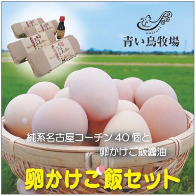 ふるさと納税 磐田市 純系名古屋コーチン卵40個入り 卵かけご飯セット