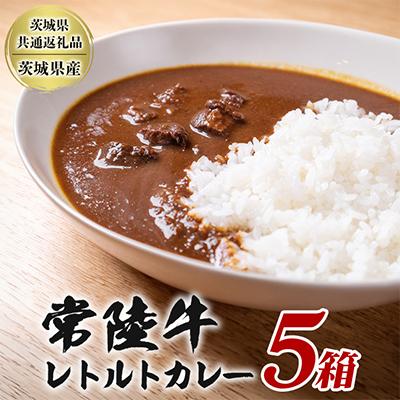 ふるさと納税 潮来市 常陸牛レトルトカレー(200g×5箱)[茨城県共通返礼品:茨城県産]