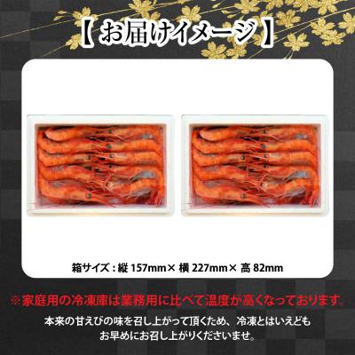 ふるさと納税 坂井市 漁船直送☆船内瞬間冷凍 プレミアム甘えび 約650g×2[A-2336]｜y-sf｜03