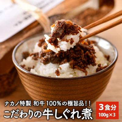 ふるさと納税 坂井市 福井県産和牛しぐれ煮(100g×3パック)ナカノ特製100%和牛の極旨品[A-2002]