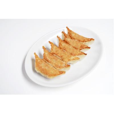 ふるさと納税 宇都宮市 [とりしょう餃子]24個入り