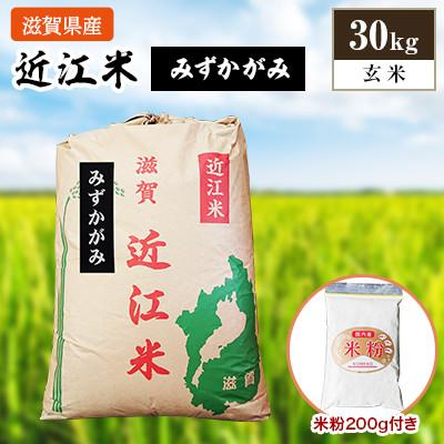 ふるさと納税 竜王町 令和5年産 近江米みずかがみ30kg(玄米) 米粉200g付き