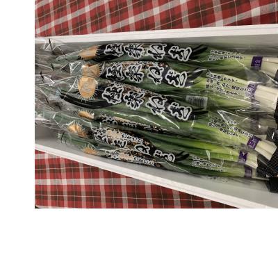 ふるさと納税 東金市 東金市特産 極楽ねぎ 150g×25束