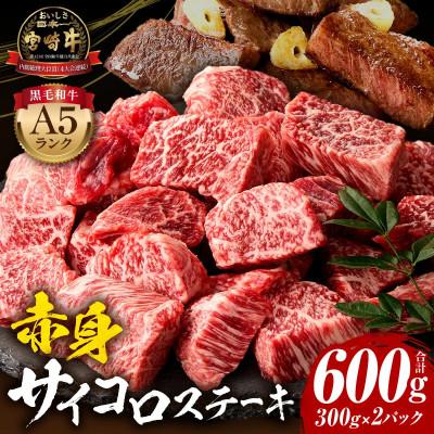 ふるさと納税 宮崎市 内閣総理大臣賞4連覇 宮崎牛A5 黒毛和牛 牛肉 赤身 サイコロ ステーキ 600g(300g×2)