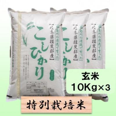 ふるさと納税 池田町 【令和7年産】特別栽培米 30kg【玄米